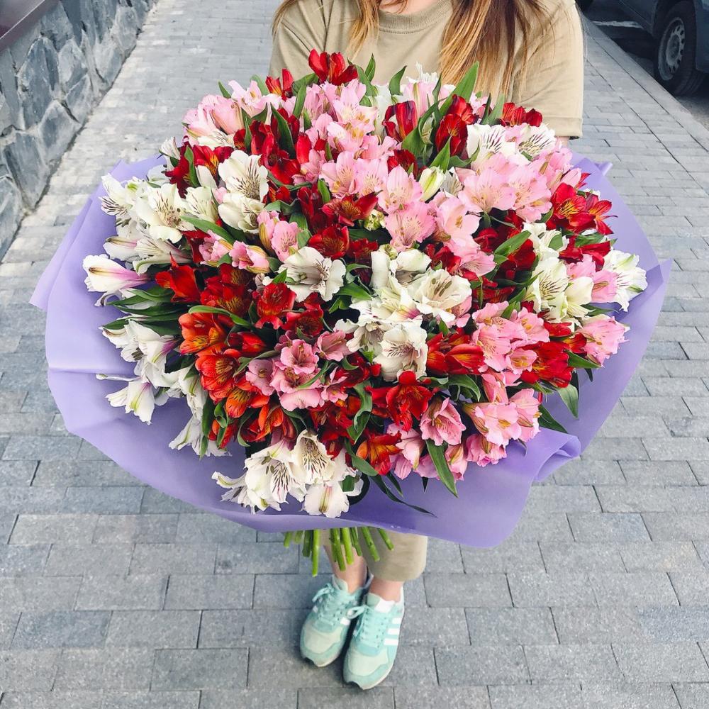 Букет из 51 альстромерии